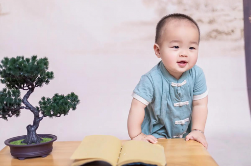 宁德可爱的企鹅宝宝